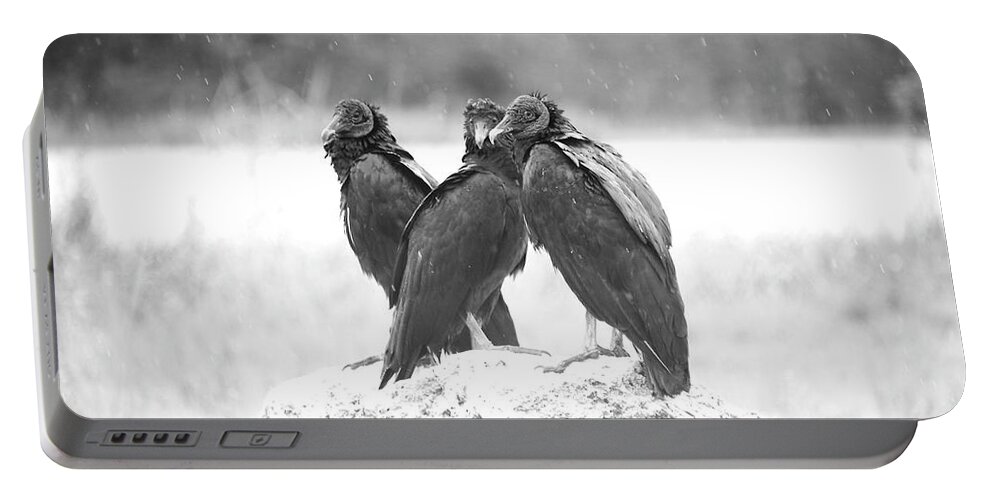 Florida Portable Battery Charger featuring the photograph Everglade Vultures by Alison Belsan Horton