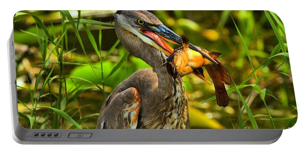 Everglade Portable Battery Charger featuring the photograph Everglades Catfish Dinner by Adam Jewell