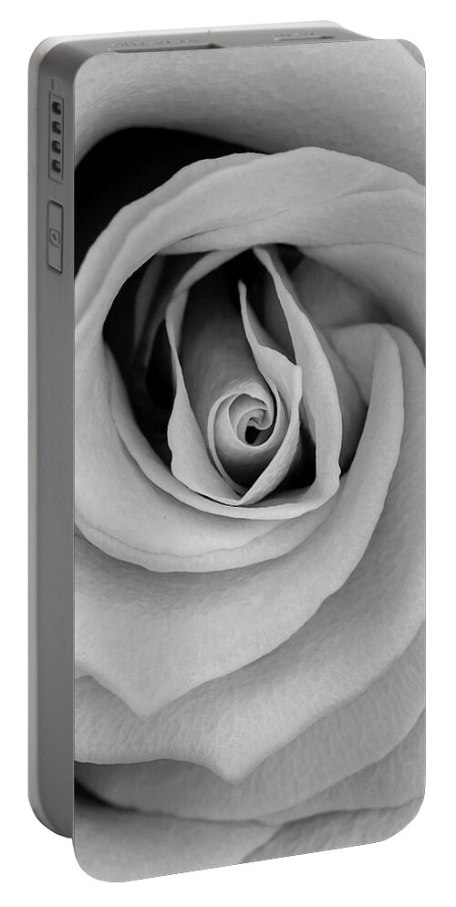 Rose Petals Portable Battery Charger featuring the photograph Everything Is Connected by Kathi Mirto