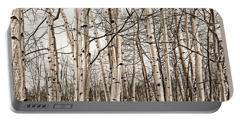 Snow Portable Battery Charger featuring the photograph Eye Of The Forest by Carmen Kern
