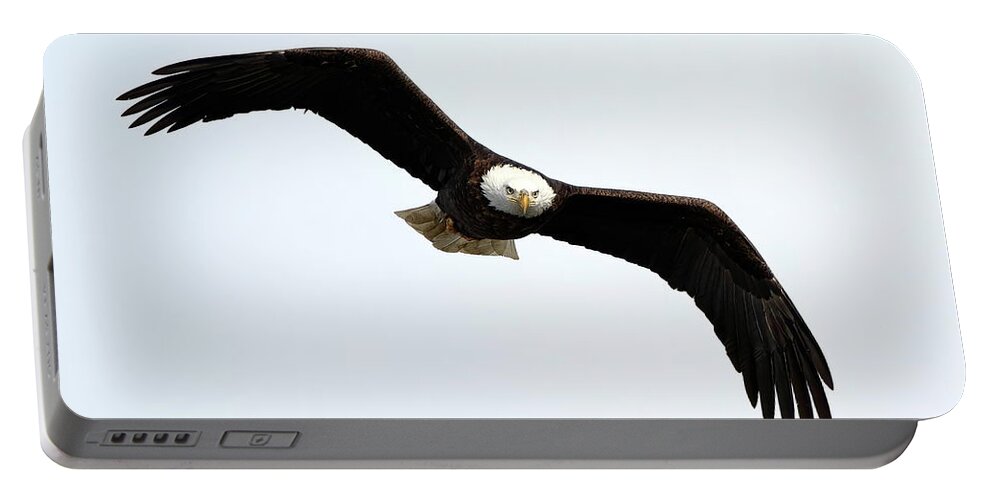 Bird Portable Battery Charger featuring the photograph Eyes On The Prize by Lens Art Photography By Larry Trager