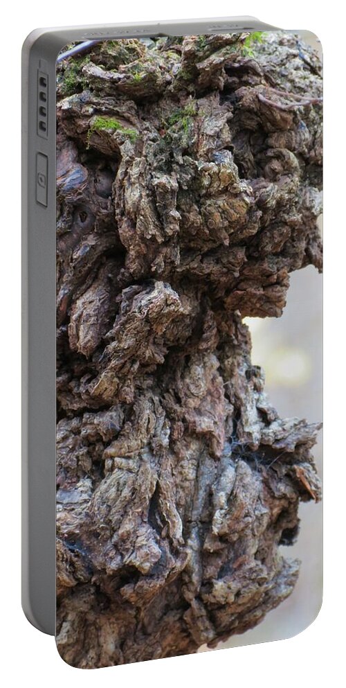 Tree Portable Battery Charger featuring the photograph Faces by Azthet Photography
