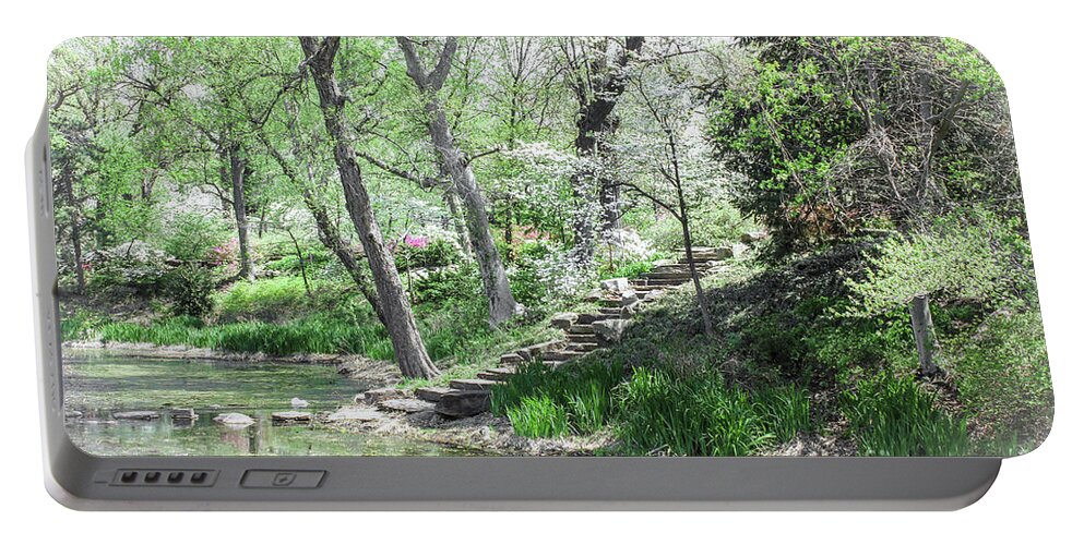 Recreation Portable Battery Charger featuring the photograph Fairyland of steps up into forest by Susan Vineyard