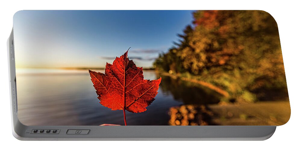 Fall Portable Battery Charger featuring the photograph Fall at Higgins Lake by Joe Holley