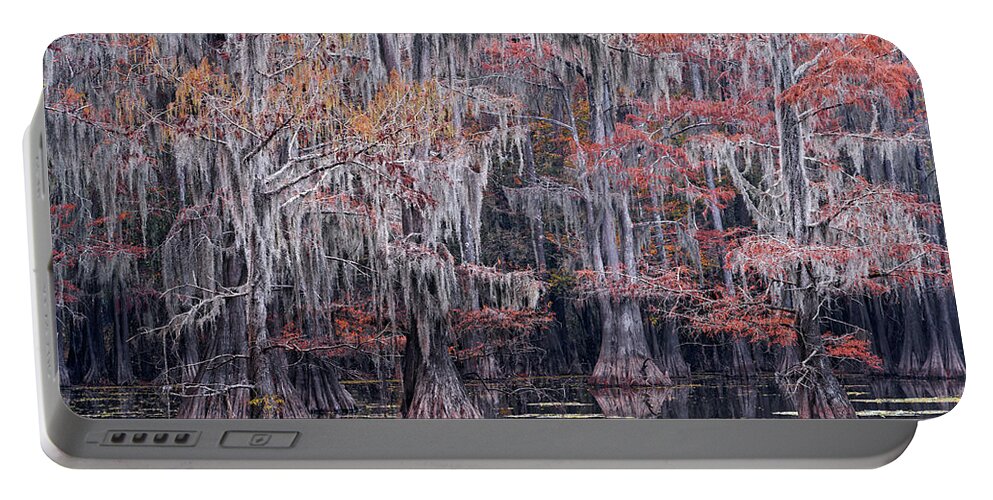 Bald Cypress Portable Battery Charger featuring the photograph Fall Bald Cypress by Jonathan Davison