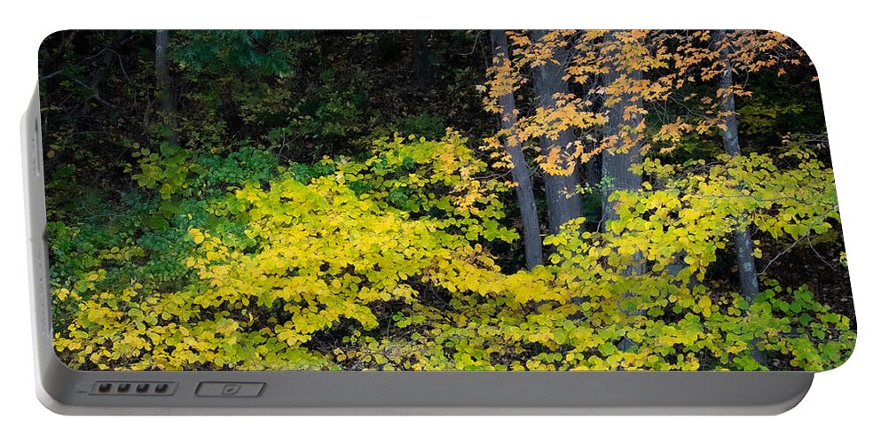 Trees Portable Battery Charger featuring the photograph Fall Chartreuse by Linda Bonaccorsi