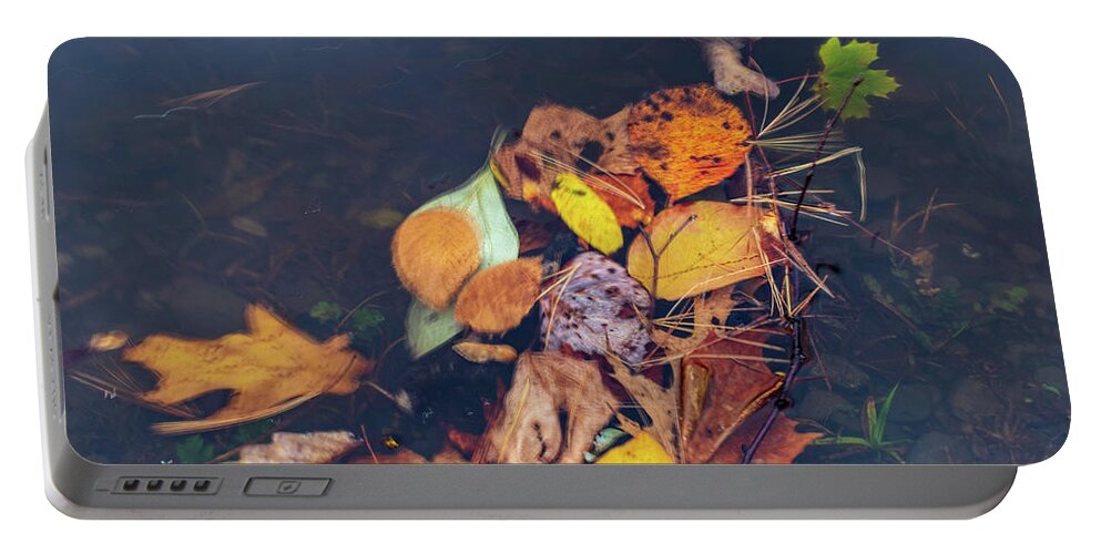 Fall Portable Battery Charger featuring the photograph Fall Leaves On The Water by Amelia Pearn