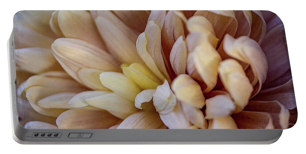 Fall Portable Battery Charger featuring the photograph Fall Mums 2 by Cheri Freeman