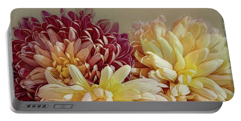 Fall Portable Battery Charger featuring the photograph Fall Mums 3 by Cheri Freeman