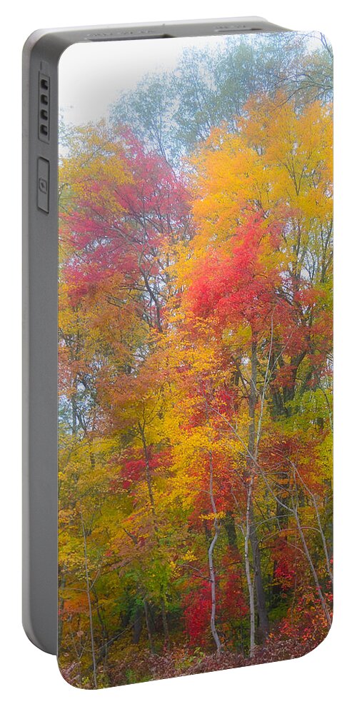 Fall Foliage Portable Battery Charger featuring the photograph Fall by Segura Shaw Photography