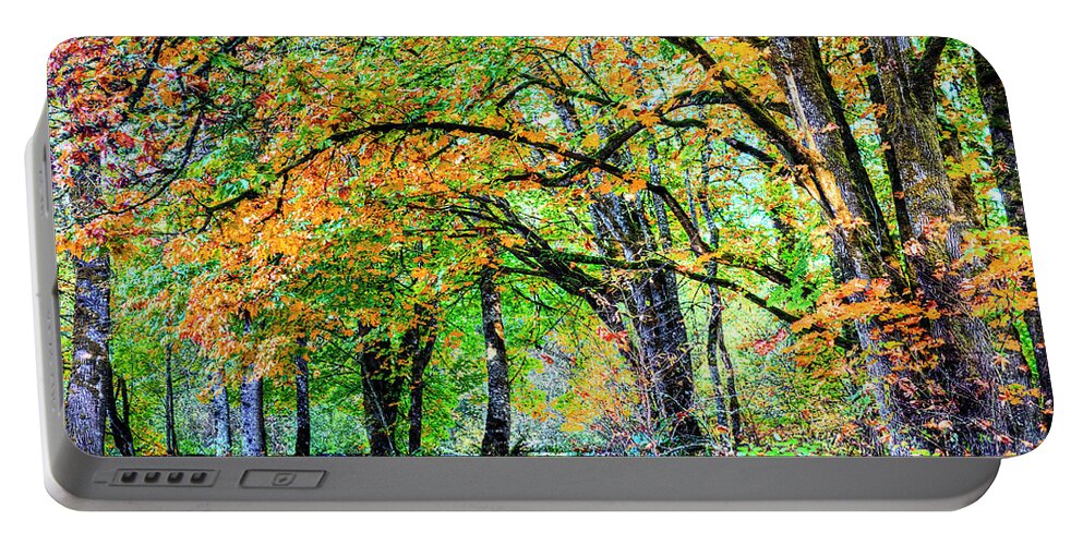 Fine Art Portable Battery Charger featuring the photograph Fall Walk by Greg Sigrist