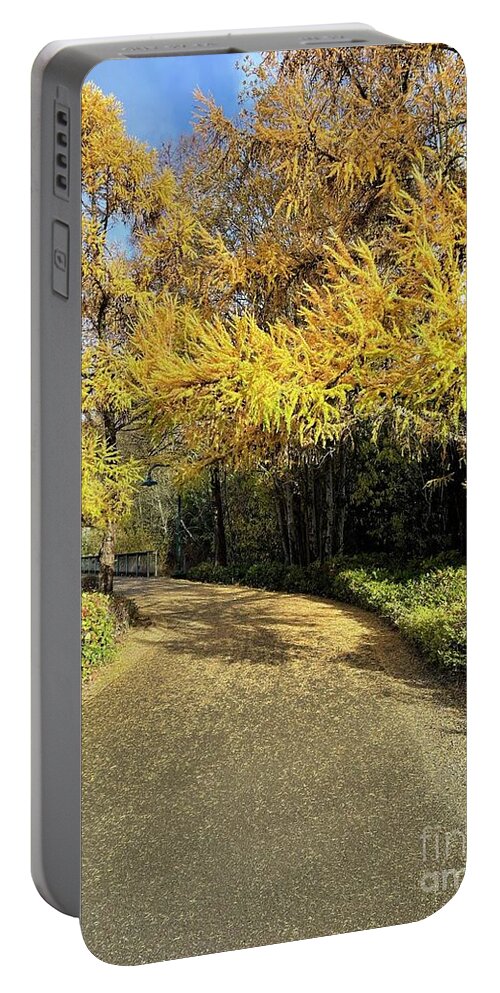 Gene Coulon Memorial Park Portable Battery Charger featuring the photograph Fall Walk by Suzanne Lorenz
