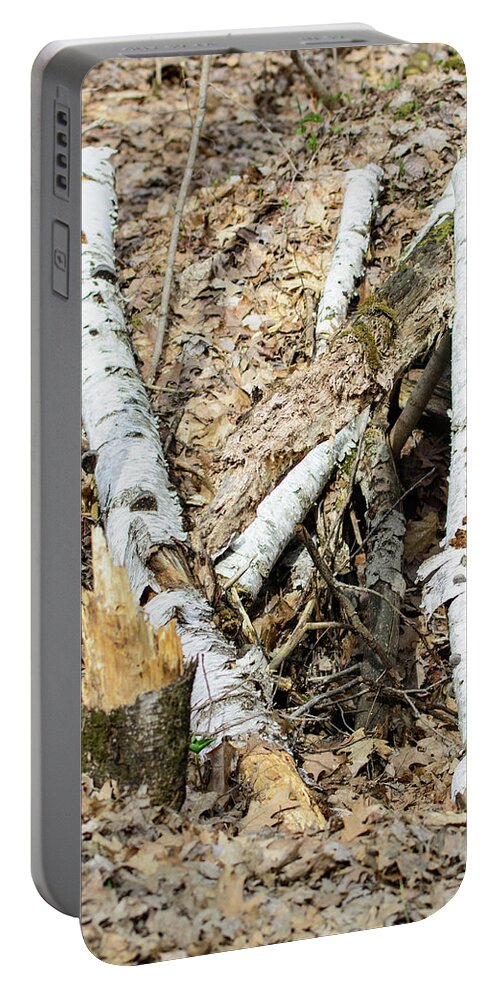 Fallen Birch Portable Battery Charger featuring the photograph Fallen Birch by James Canning