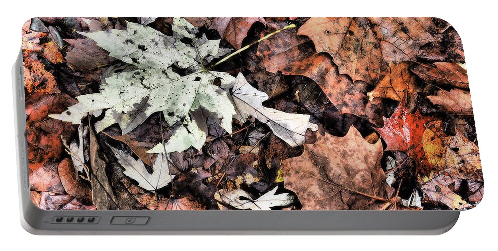 Leaves Portable Battery Charger featuring the photograph Fallen Leaves by James C Richardson