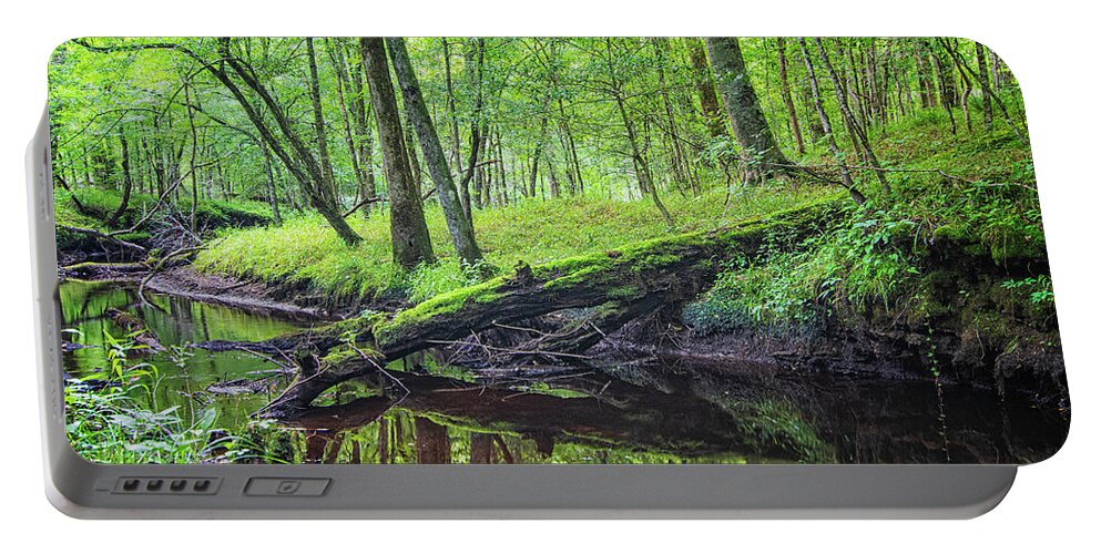 Island Creek Portable Battery Charger featuring the photograph Fallen Log at Island Creek - Croatan National Forest - NC by Bob Decker