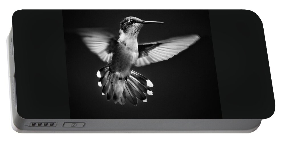 Hummingbird Portable Battery Charger featuring the photograph Fantail Hummingbird by Christina Rollo