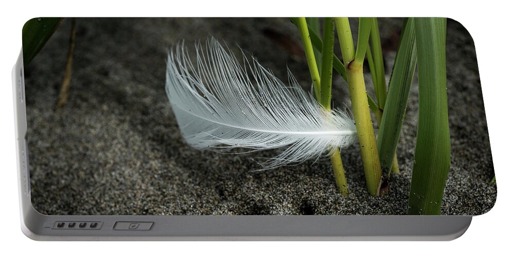 August Portable Battery Charger featuring the photograph Feather and Beach Grass by Robert Potts