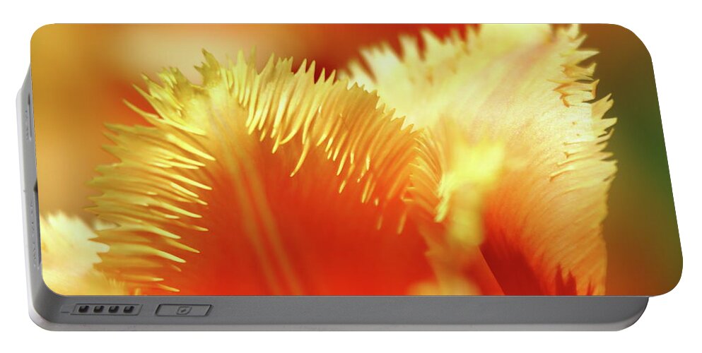 Tulip Portable Battery Charger featuring the photograph Feathered Petals by Lens Art Photography By Larry Trager