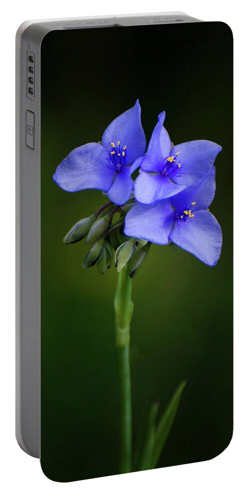 Nature Portable Battery Charger featuring the photograph Feeling Blue by Linda Shannon Morgan