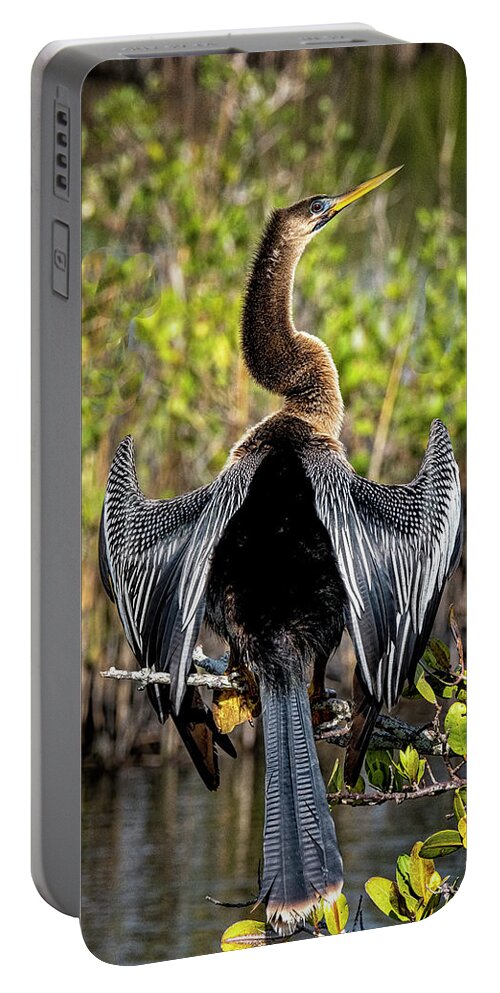 Yard Animals Portable Battery Charger featuring the photograph Female Anhinga by Tom Singleton