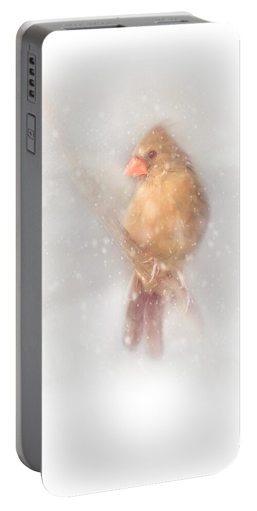 Cardinal Portable Battery Charger featuring the photograph Female Cardinal in Snow by Marjorie Whitley