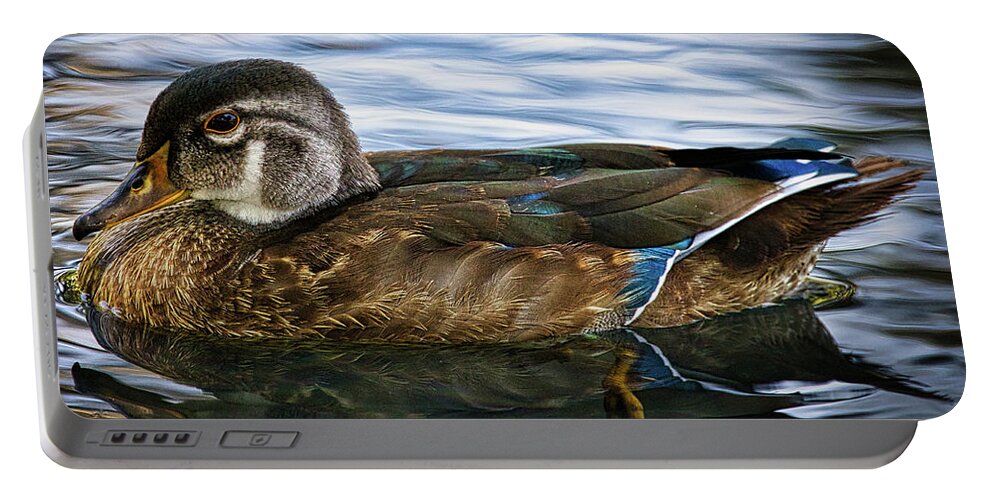 Duck Portable Battery Charger featuring the photograph Female Drake Duck by Rene Vasquez