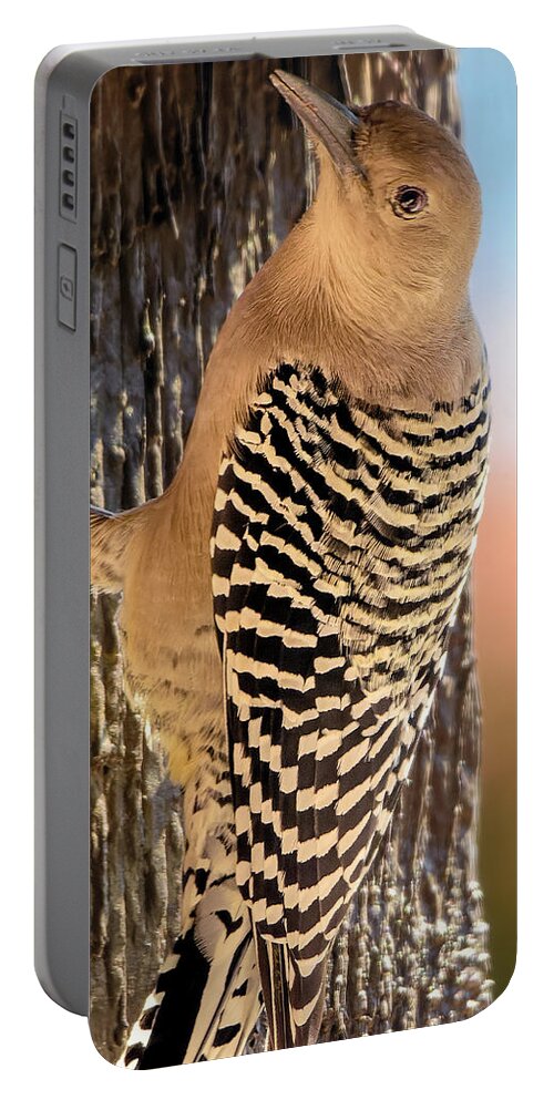 Animal Portable Battery Charger featuring the photograph Female Gila Woodpecker 220930 by Mark Myhaver