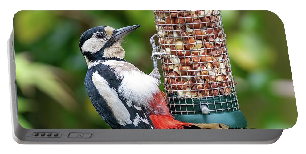 Nature Portable Battery Charger featuring the photograph Female Great Spotted Woodpecker feeding on peanuts by Jane Rix