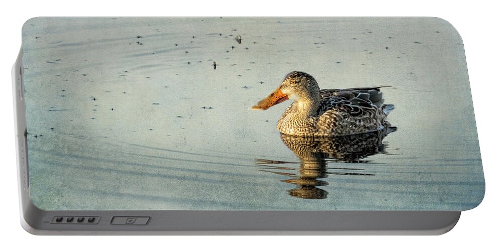 Northern Shoveler Portable Battery Charger featuring the photograph Female Northern Shoveler Duck Facing the Light by Belinda Greb