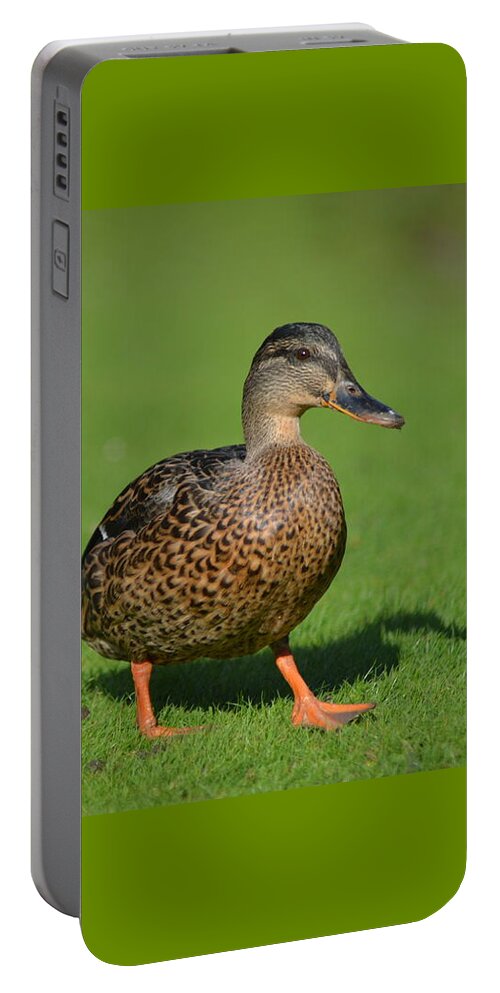 Female Portable Battery Charger featuring the photograph Female Strut by Neil R Finlay
