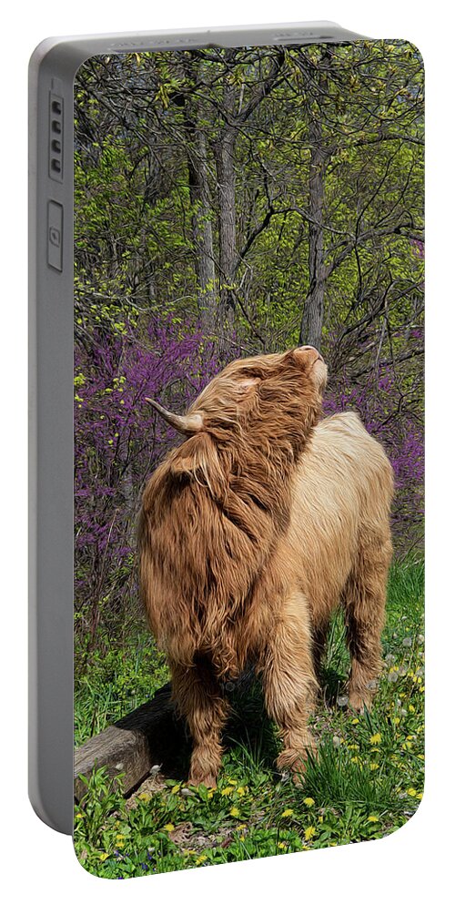 Tennessee Portable Battery Charger featuring the photograph Ogie Knows Spring is in the Air by Marcy Wielfaert