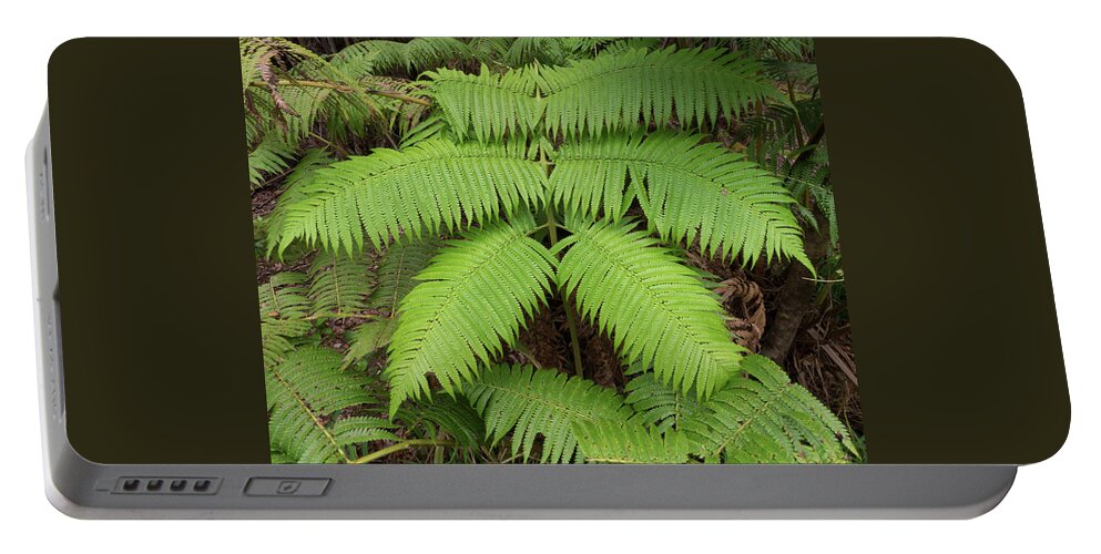 America Portable Battery Charger featuring the photograph Fern at Hilo Hawaii by James C Richardson