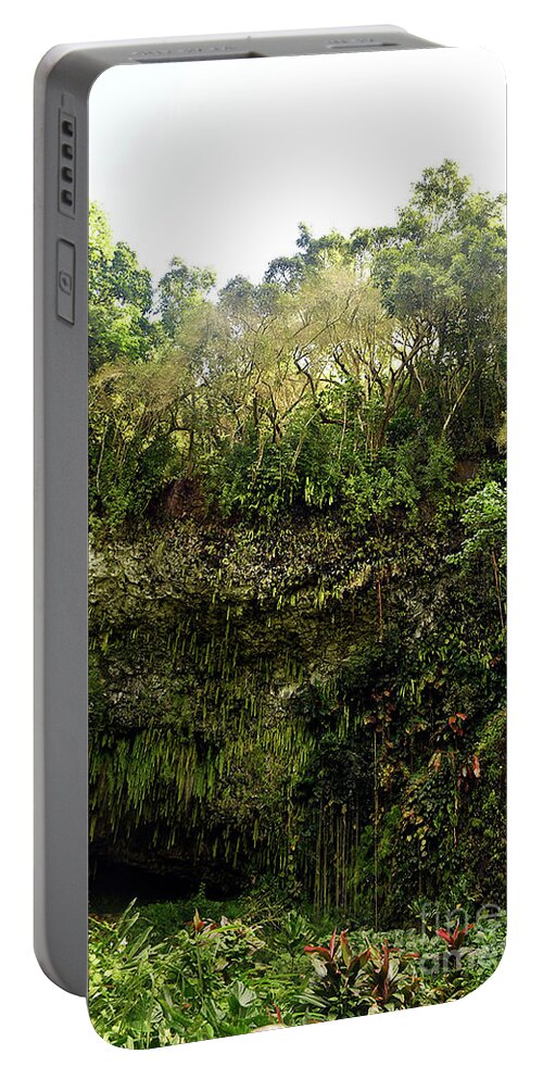Fern Grotto Portable Battery Charger featuring the photograph Fern Grotto by Cindy Murphy