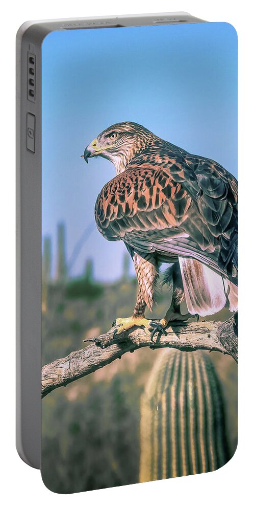 Black Cactus Portable Battery Charger featuring the photograph Ferruginous Hawk by Steve Kelley