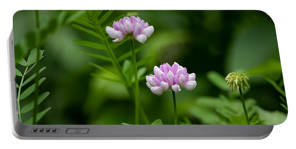 Flower Portable Battery Charger featuring the photograph Fetching Crown Vetch by Linda Bonaccorsi
