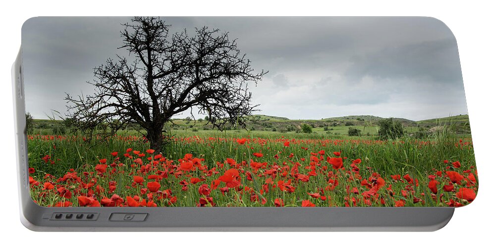Poppy Anemone Portable Battery Charger featuring the photograph Field full of red beautiful poppy anemone flowers and a lonely dry tree. Spring time, spring landscape Cyprus. by Michalakis Ppalis