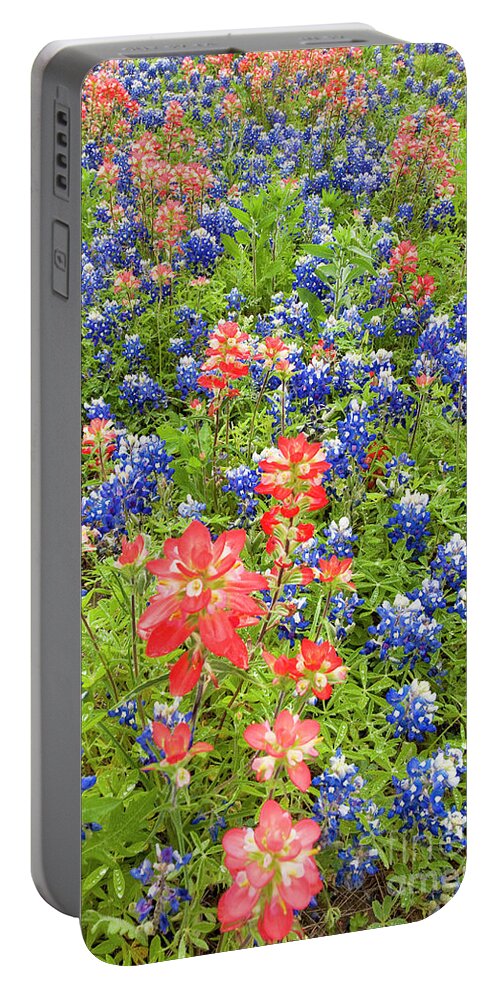 Dave Welling Portable Battery Charger featuring the photograph Field Of Bluebonnets And Indian Paintbrush Texas Hill Country by Dave Welling