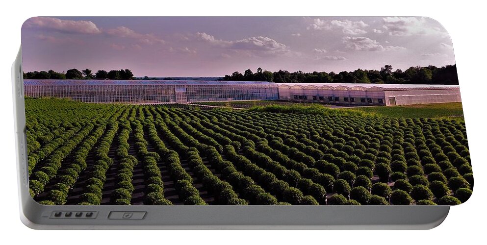 - Field Of Mums - Timbuk Farms Oh Portable Battery Charger featuring the photograph - Field of Mums - Timbuk Farms OH by THERESA Nye