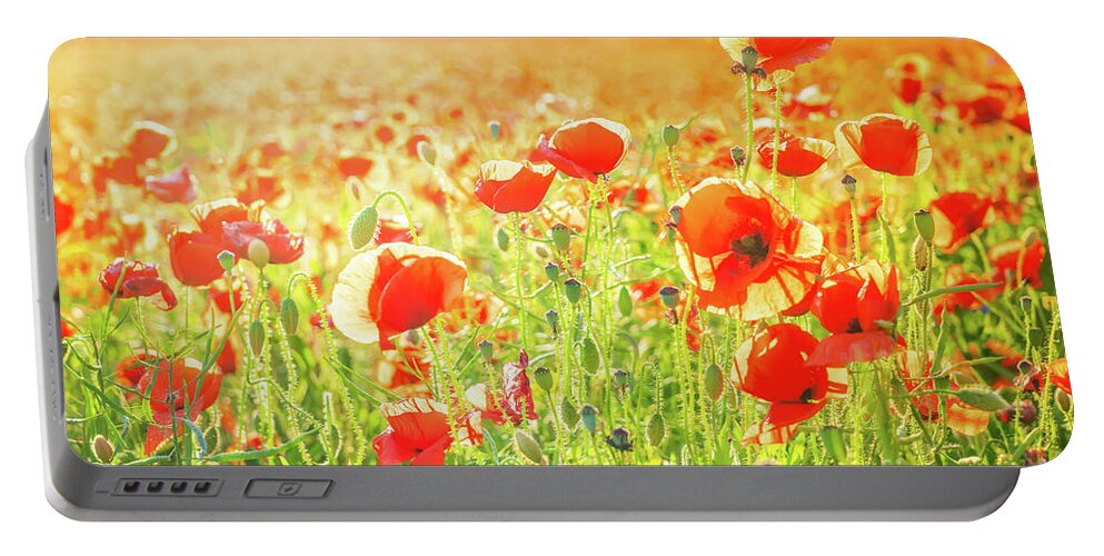 Remembrance Day Portable Battery Charger featuring the photograph Field Of Poppy Flowers by Anastasy Yarmolovich