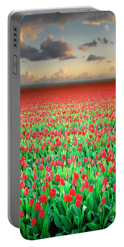 Nag894678c Portable Battery Charger featuring the photograph Field of Tulips by Edmund Nagele FRPS
