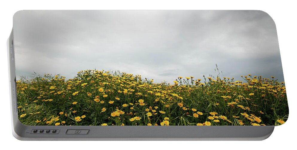 Spring Portable Battery Charger featuring the photograph Field with yellow marguerite daisy blooming flowers against cloudy sky. Spring landscape nature background by Michalakis Ppalis