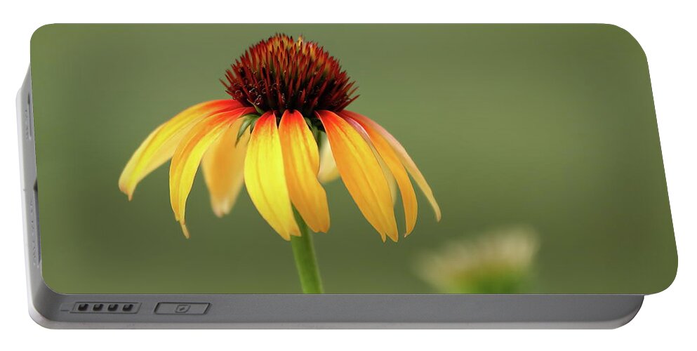 Coneflower Portable Battery Charger featuring the photograph Fiery Coneflower by Lens Art Photography By Larry Trager