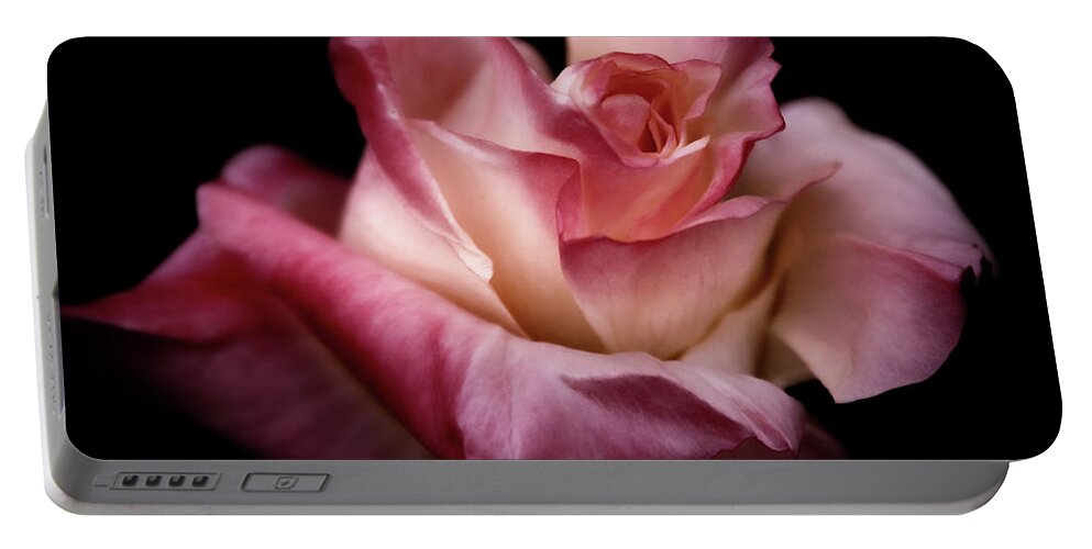 Rose Portable Battery Charger featuring the photograph Fire and Ice Rose against Black by Sally Bauer