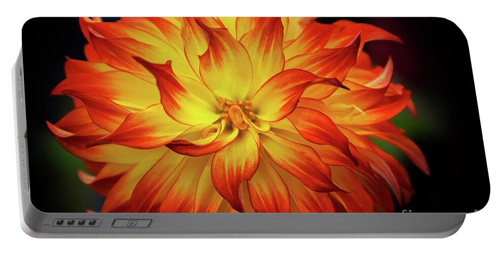 Dahlia Portable Battery Charger featuring the photograph Fire Orange and Yellow Dahlia by Neala McCarten