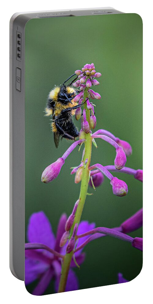 Fireweed Portable Battery Charger featuring the photograph Fireweed Bumble Bee by David Downs