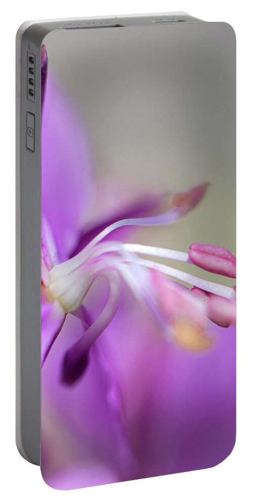 Fireweed Portable Battery Charger featuring the photograph Fireweed Close Up by Karen Rispin