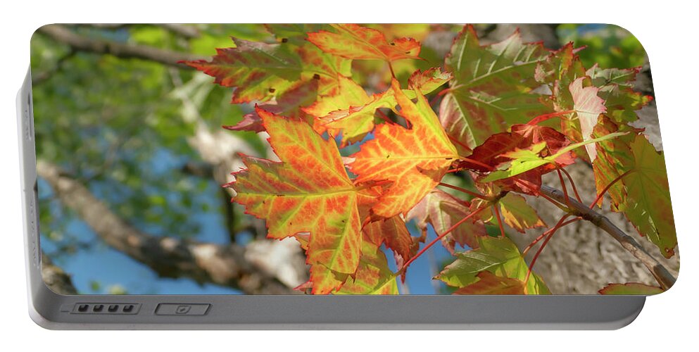 Colored Leaves In July Portable Battery Charger featuring the photograph First Colored Leaves in July by Sandra J's