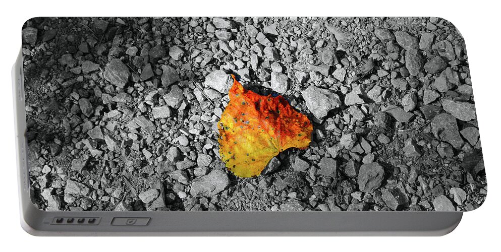 Leaf Portable Battery Charger featuring the photograph First Leaf of Autumn by Christopher Reed