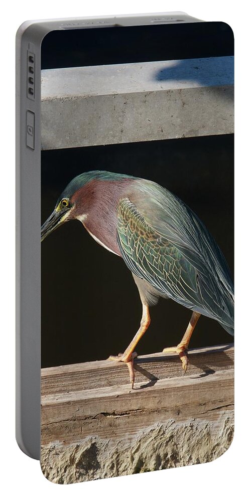Florida Portable Battery Charger featuring the photograph Fishing Time by Melissa Southern