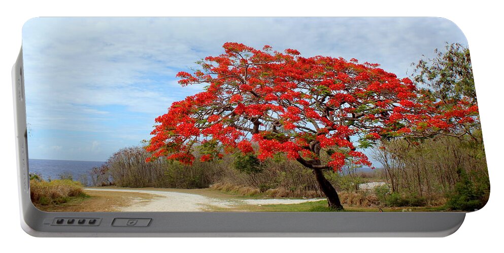 Blooms Portable Battery Charger featuring the photograph Flame tree in Full Bloom by On da Raks